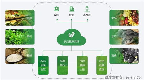 國(guó)外農(nóng)業(yè)物聯(lián)網(wǎng)應(yīng)用 精準(zhǔn)賦能，重塑農(nóng)業(yè)生產(chǎn)與服務(wù)模式